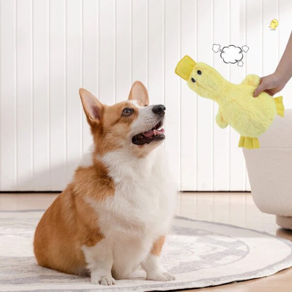 Cute Duck Plush Toy With Squeaker Dog Chew Toy - Image 2